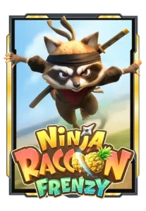 ninja-raccoon-frenzy